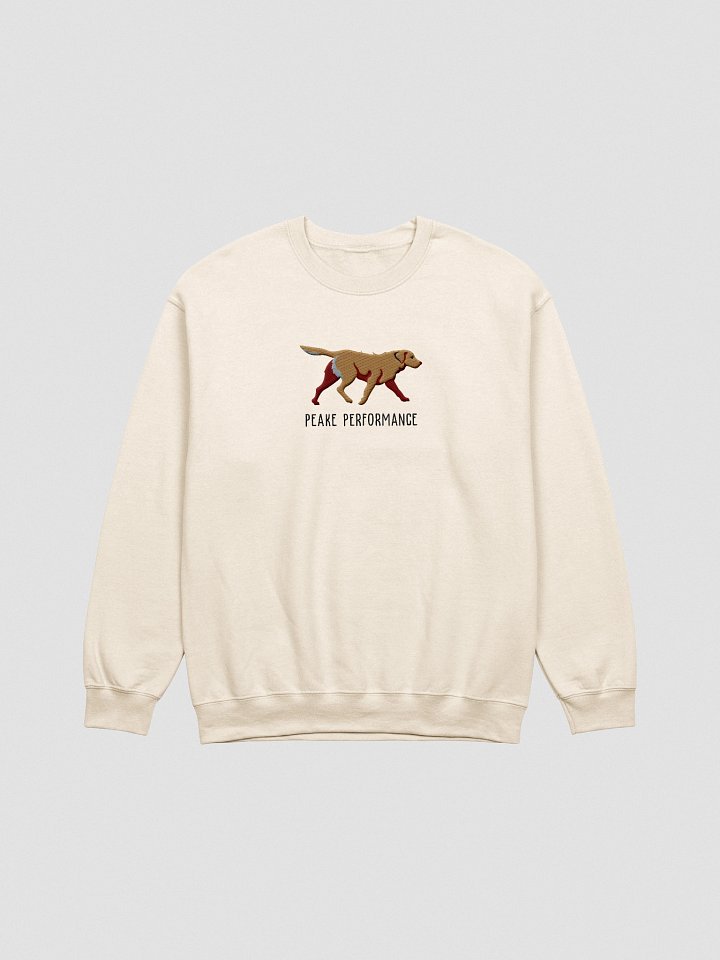 Peake Performance Sweatshirt (Embroidered) of a Chesapeake Bay Retriever(Tan) product image (16)