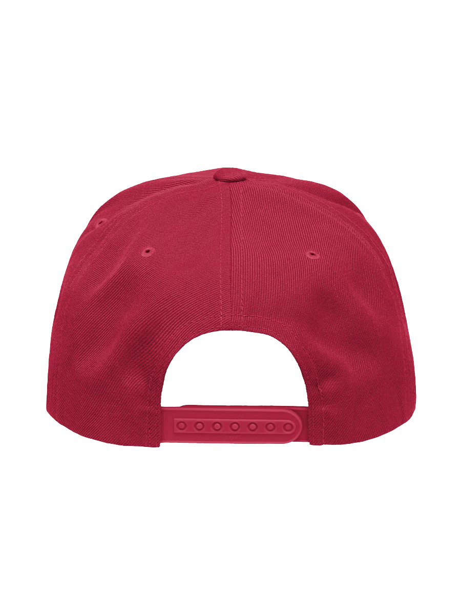 PDKH Embroidered Snapback Unisex white & black stitching product image (4)