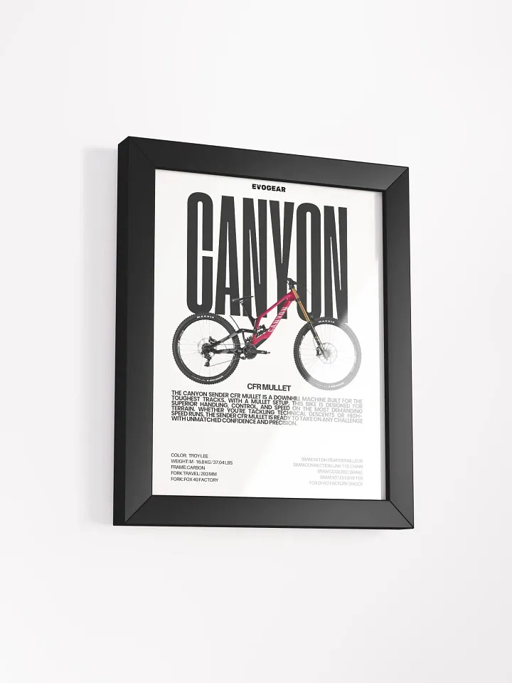 Canyon Sender CFR Mullet Frame product image (6)