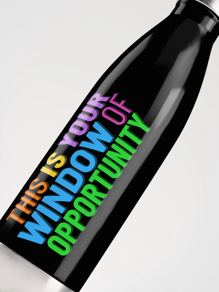 This is Your Window of Opportunity Water Bottle product image (10)