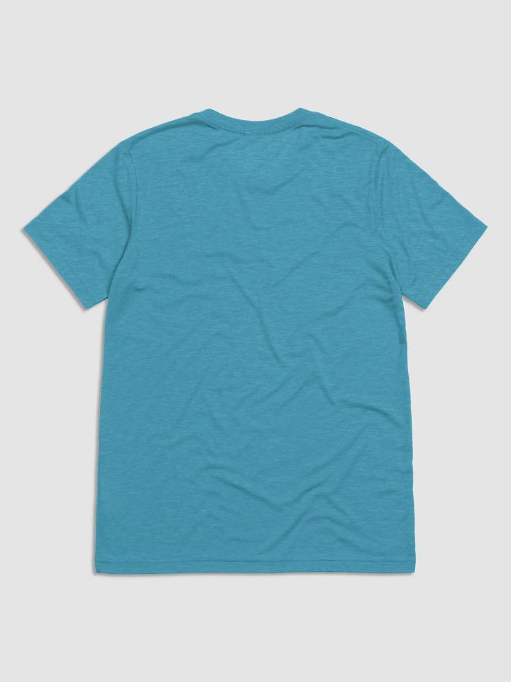 Joyful Earth Triblend T-Shirt product image (18)