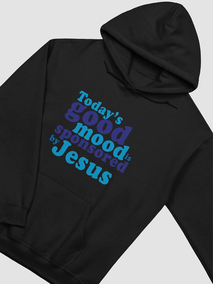 Sponsored by Jesus Hoodie product image (14)