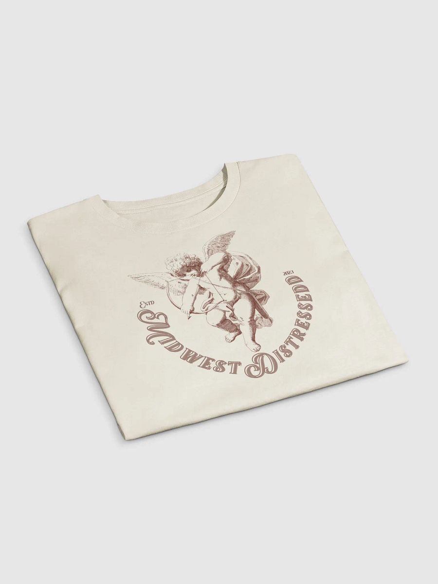 MidwestDistressedd Crop Tee product image (19)