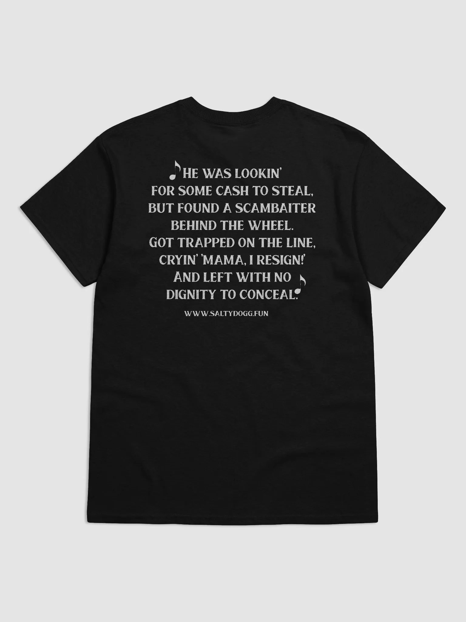 Scammer Went to Georgia T-Shirt product image (20)