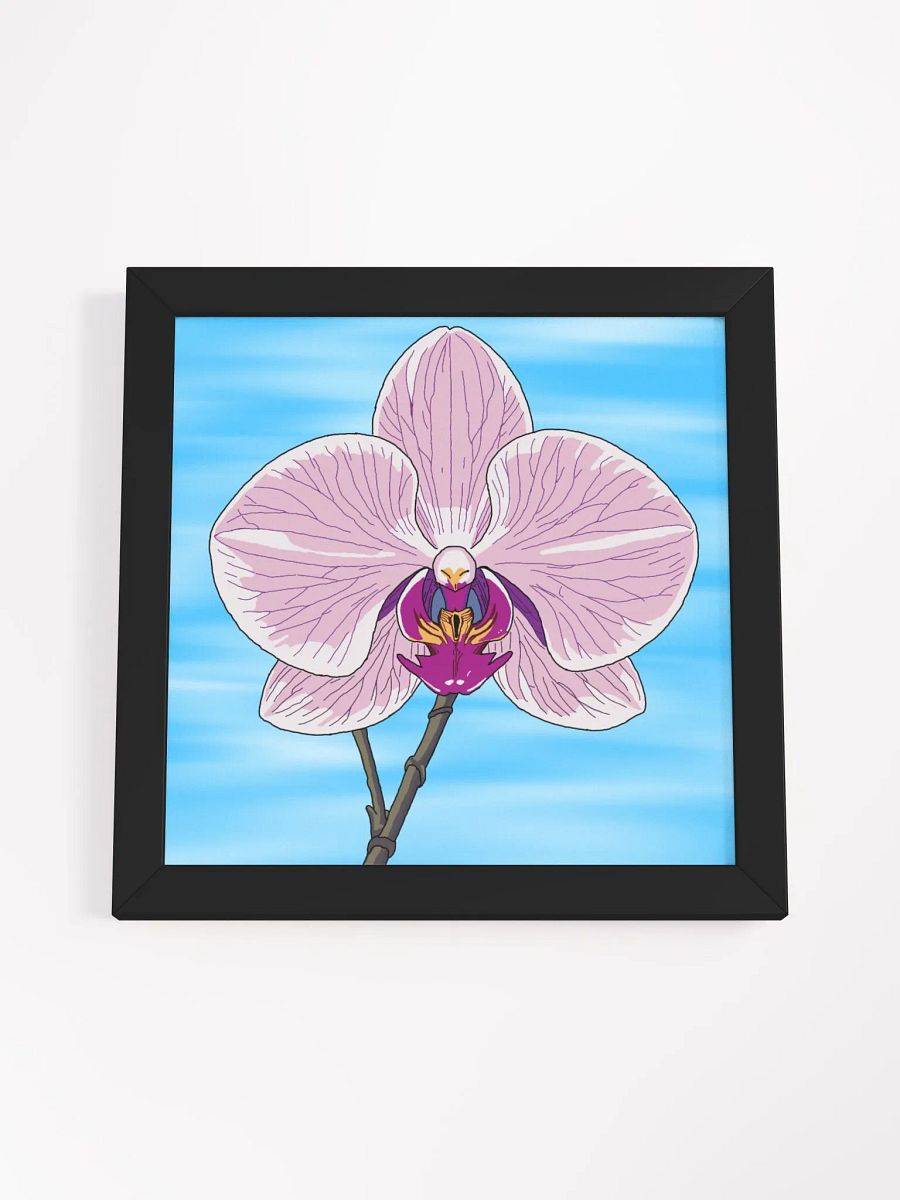 orchid product image (4)