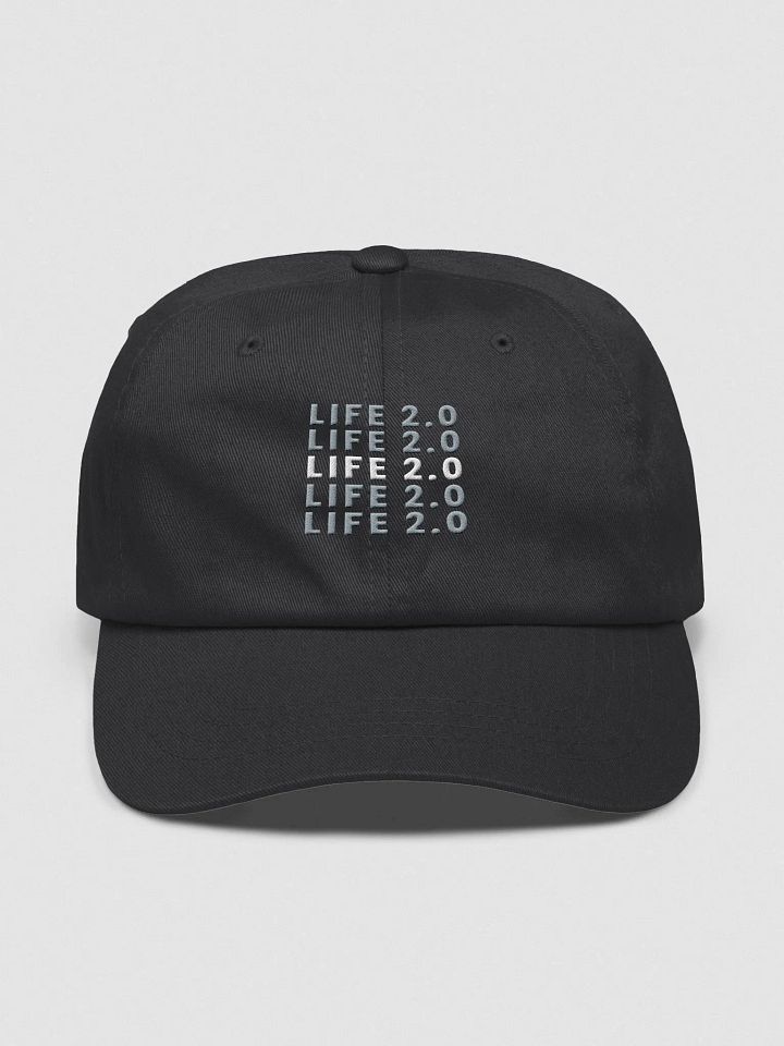 Life 2.0 Hat product image (1)
