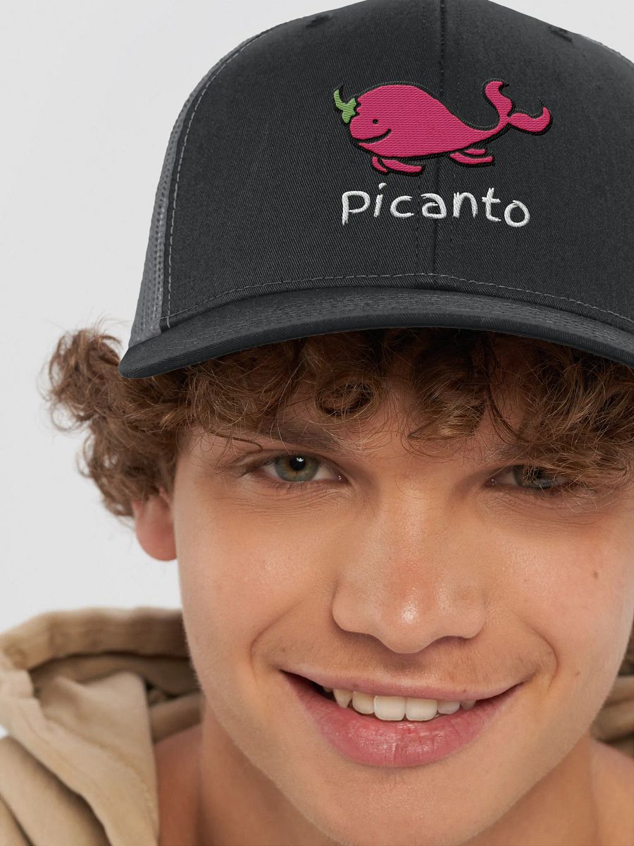 W Picanto Hat product image (8)