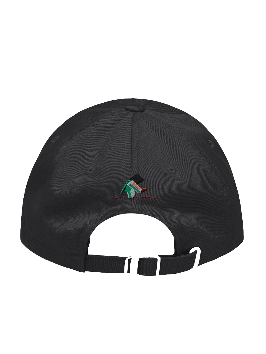 SG cap product image (2)