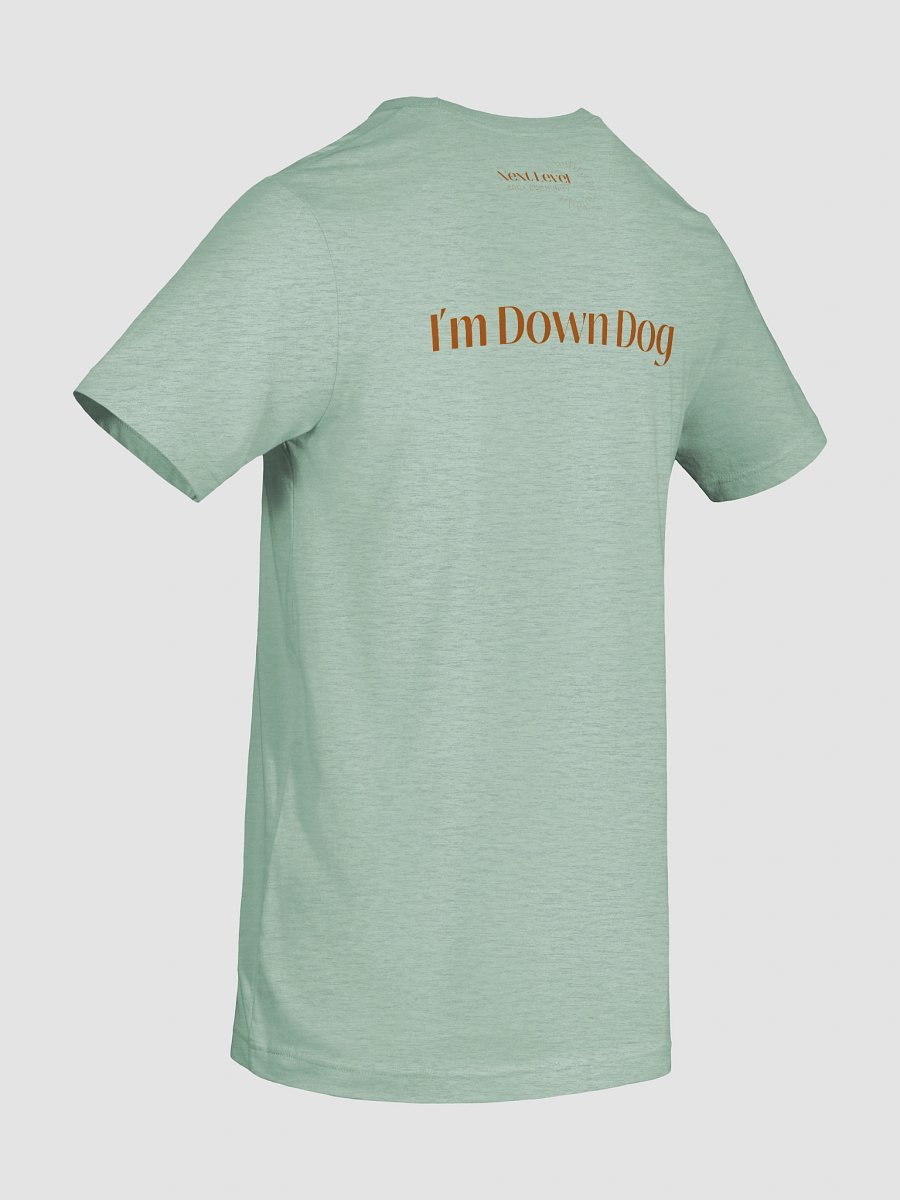 Yoga Retreat? I'm Down Dog Unisex Lightweight T product image (18)
