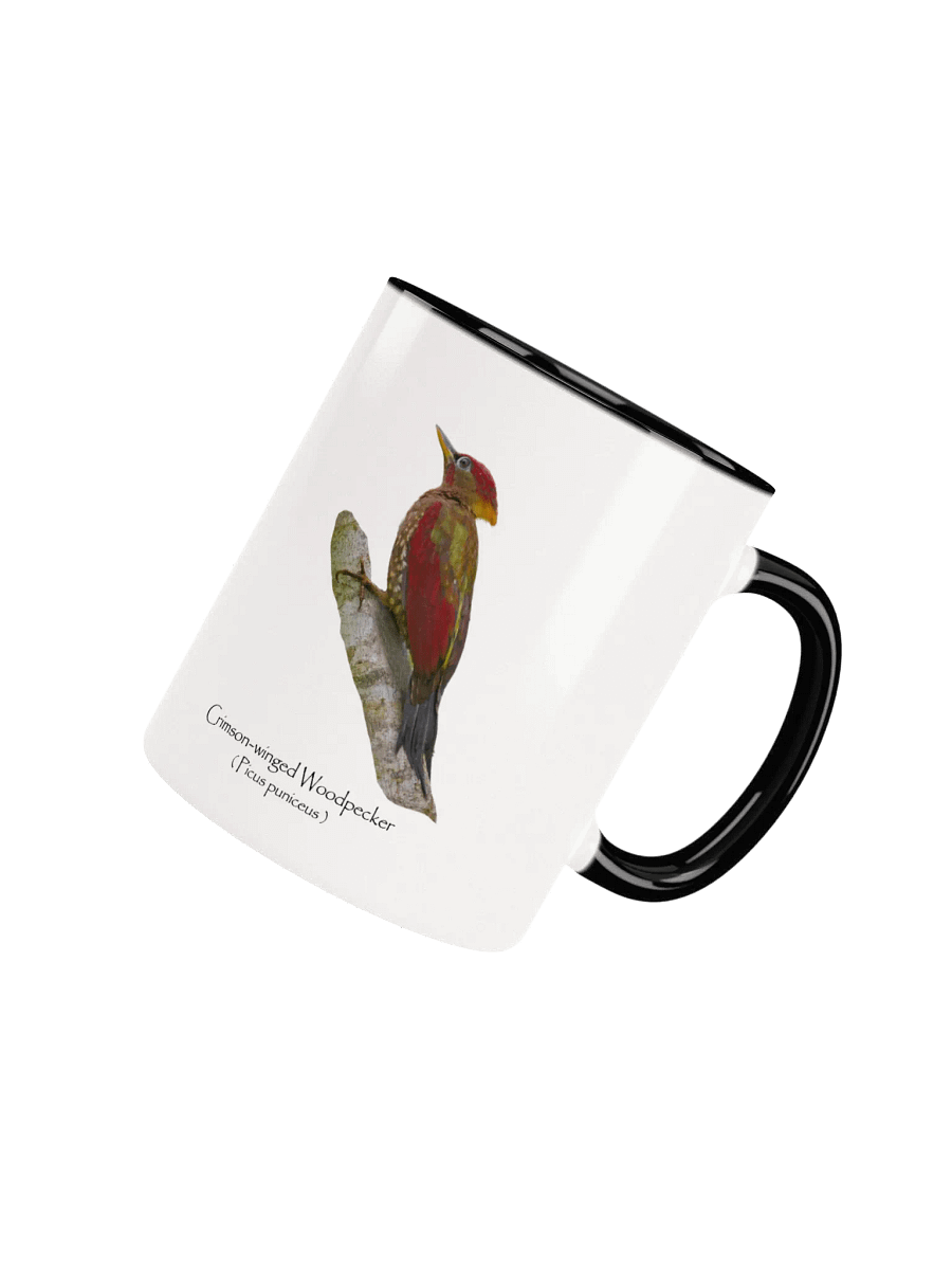 Crimson-winged Woodpecker mug product image (33)