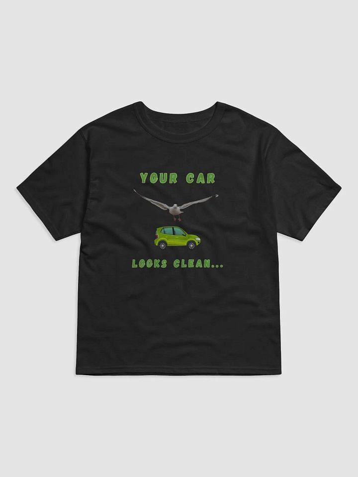 Your Car Looks Clean... Seagull with Green Car Relaxed T-shirt product image (3)