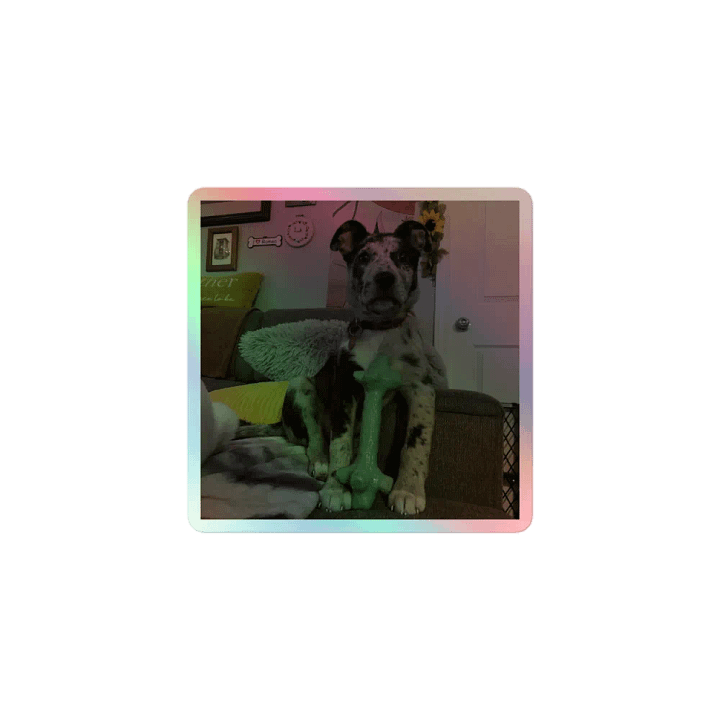 Holographic Poppy product image (1)