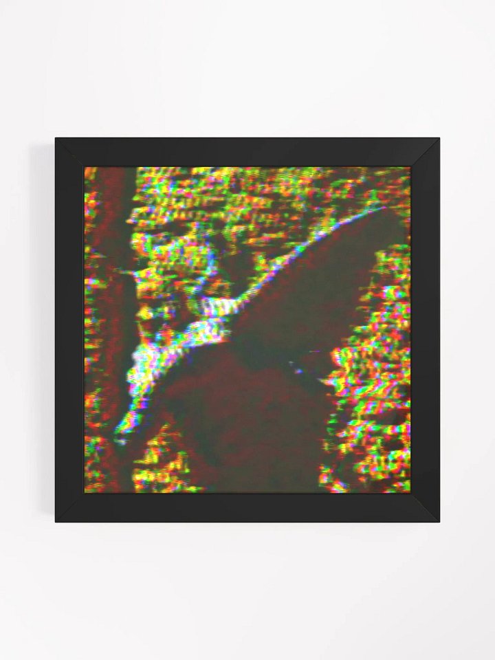 Spectre (Ornate Tree Lizard) product image (3)