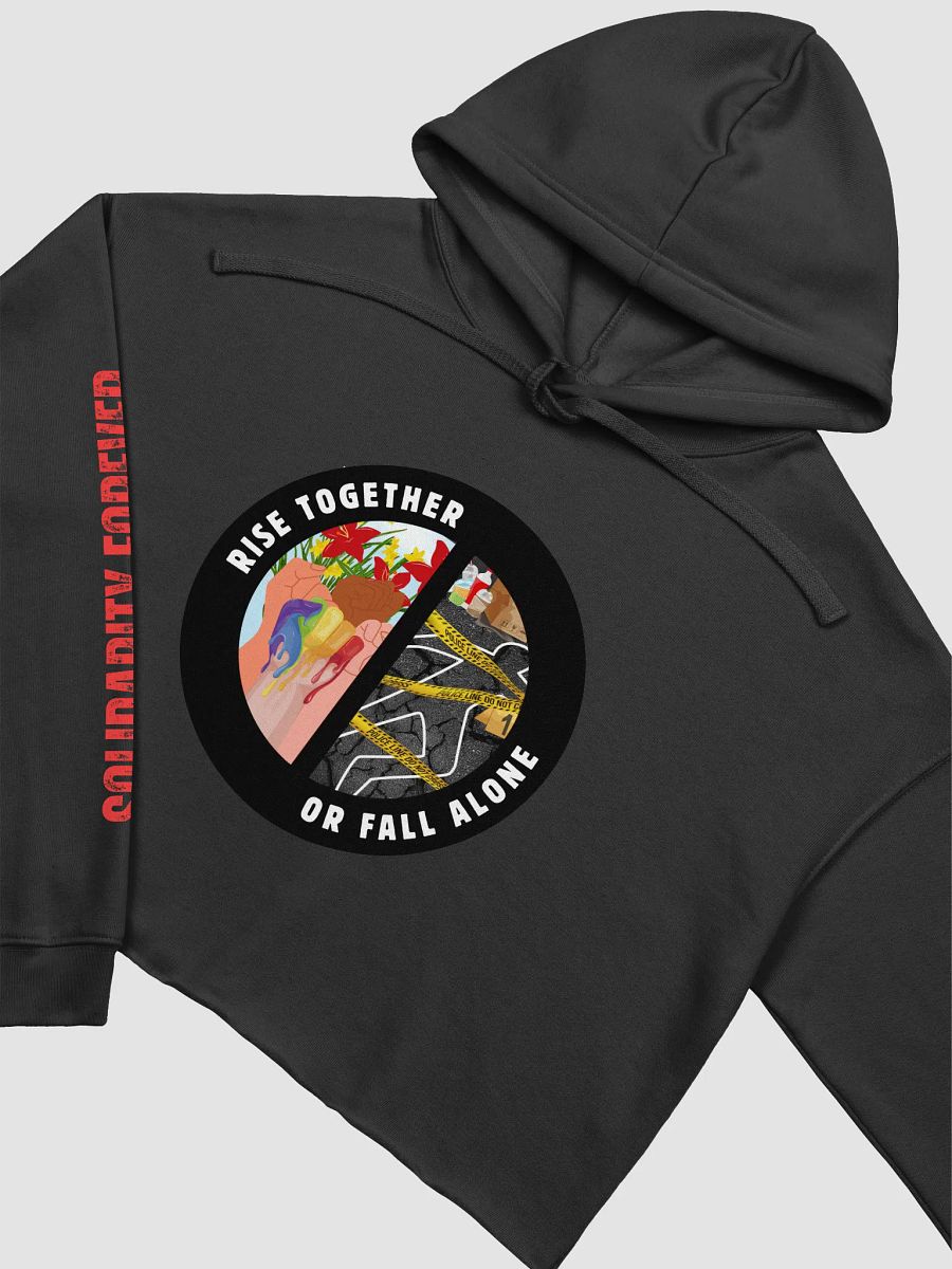 Rise Together Crop Hoodie product image (3)