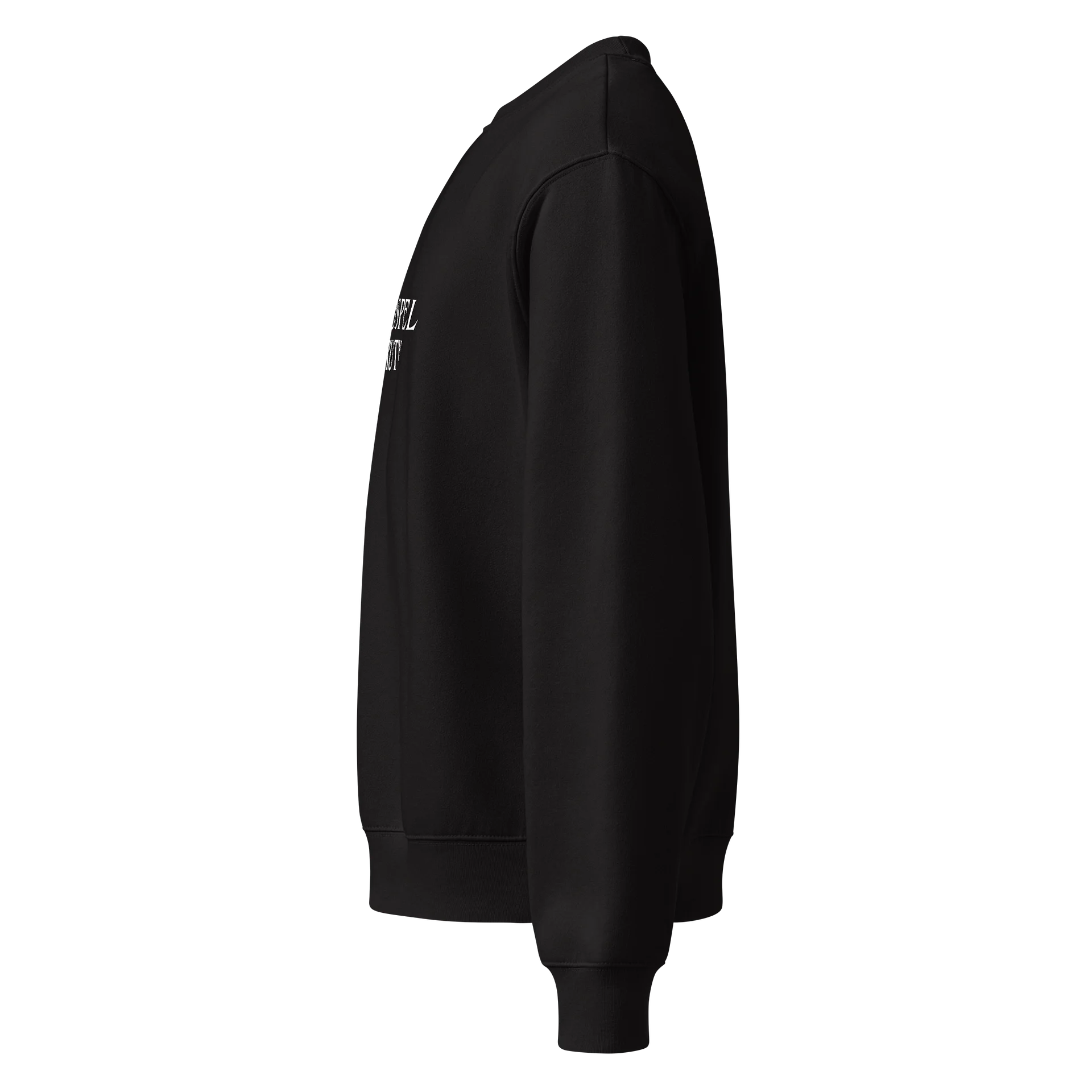 The Gospel of Truth Unisex Heavyweight Sweatshirt product image (6)