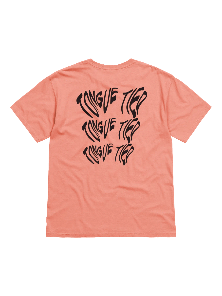 PARASYM Tee product image (22)