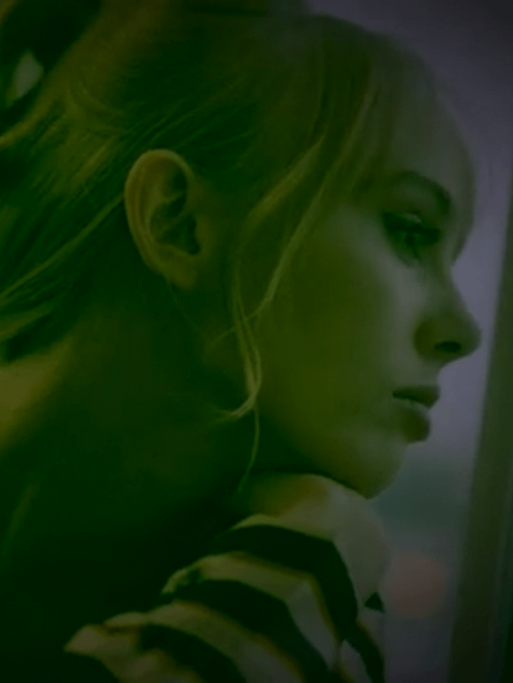 The Falling Leaves Video product image (1)