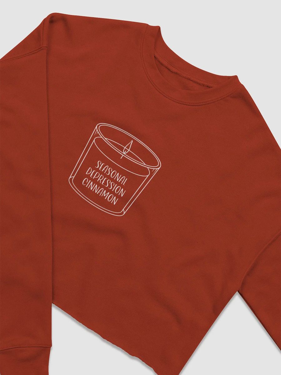 Seasonal Depression Cinnamon Crop Crew Neck product image (10)