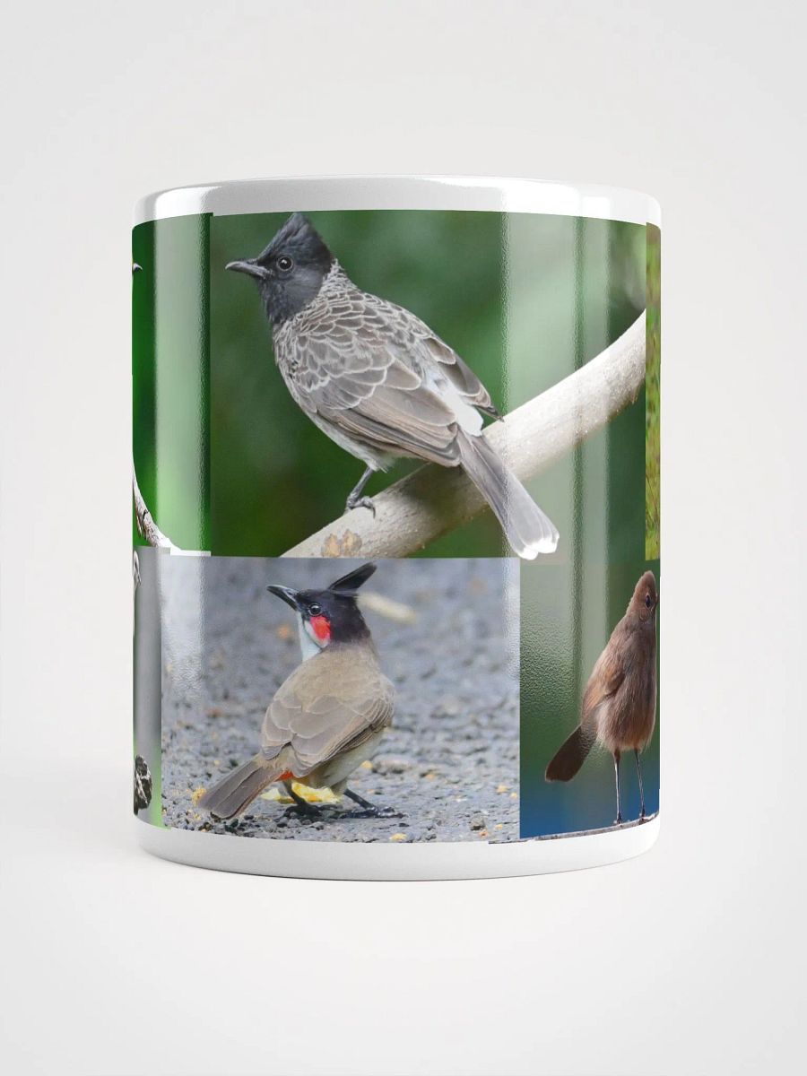 IUCAA Birds White Glossy Mug product image (15)