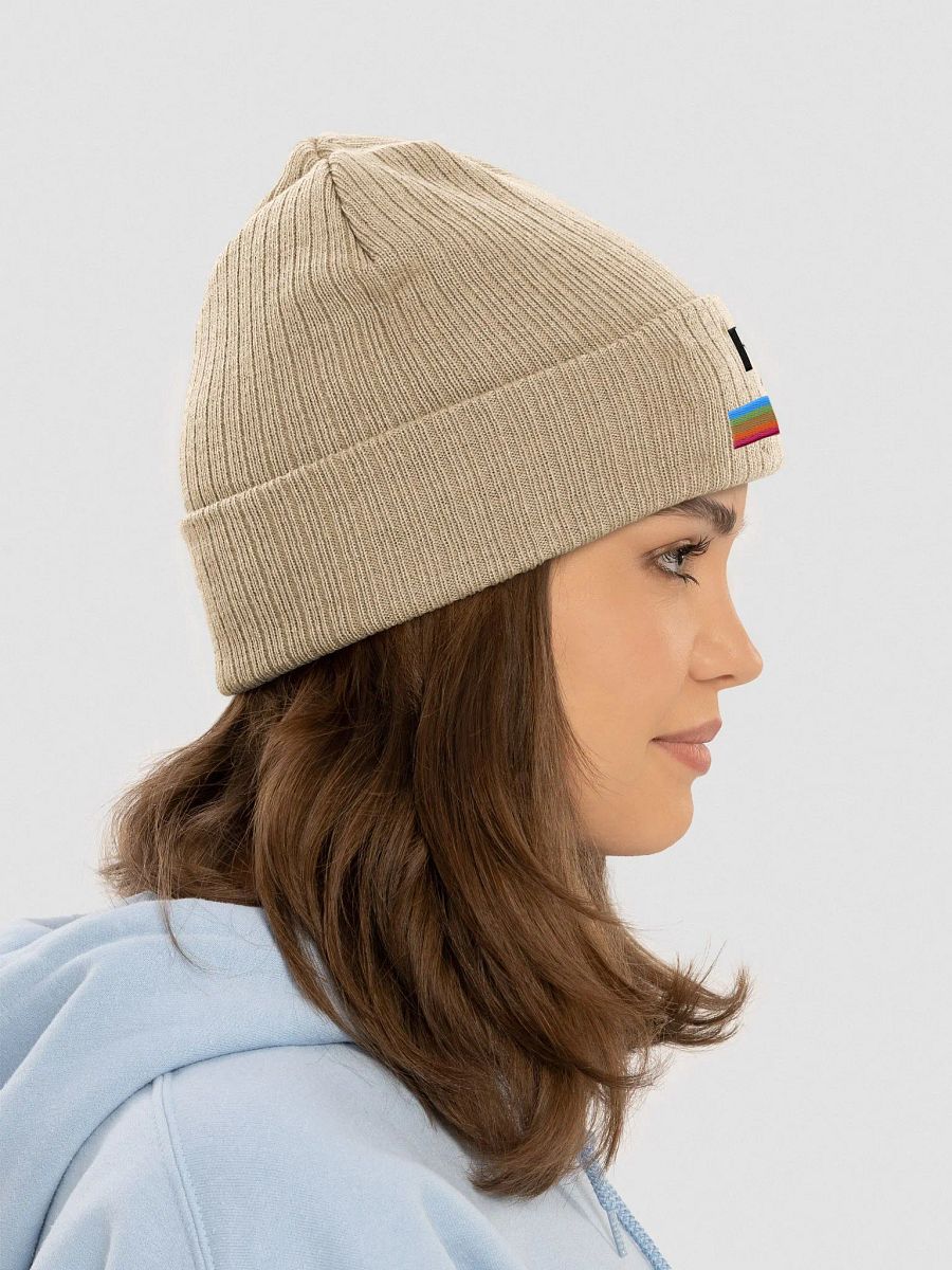Idiot-Proof Beanie product image (8)