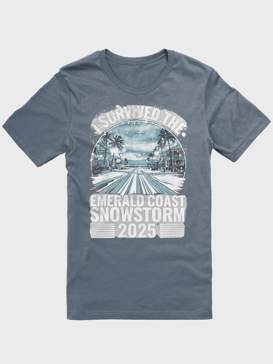 I Survived the Emerald Coast Snowstorm 2025 - Bella Canvas product image (1)