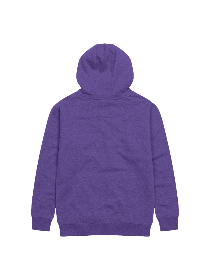 10k Hoodie product image (4)