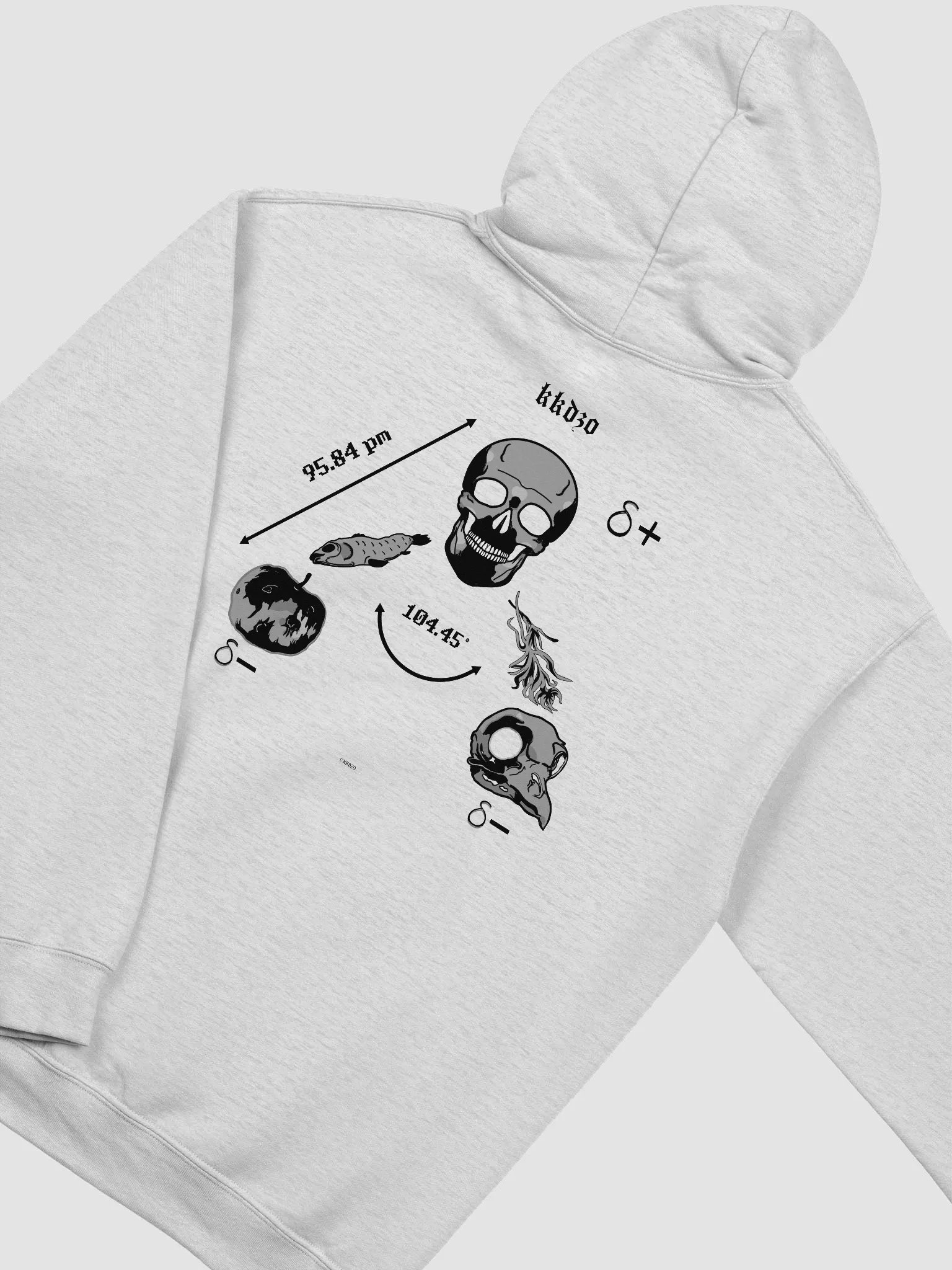 Saga Hydropolitique ( Hoodie Bright Edition ) product image (4)