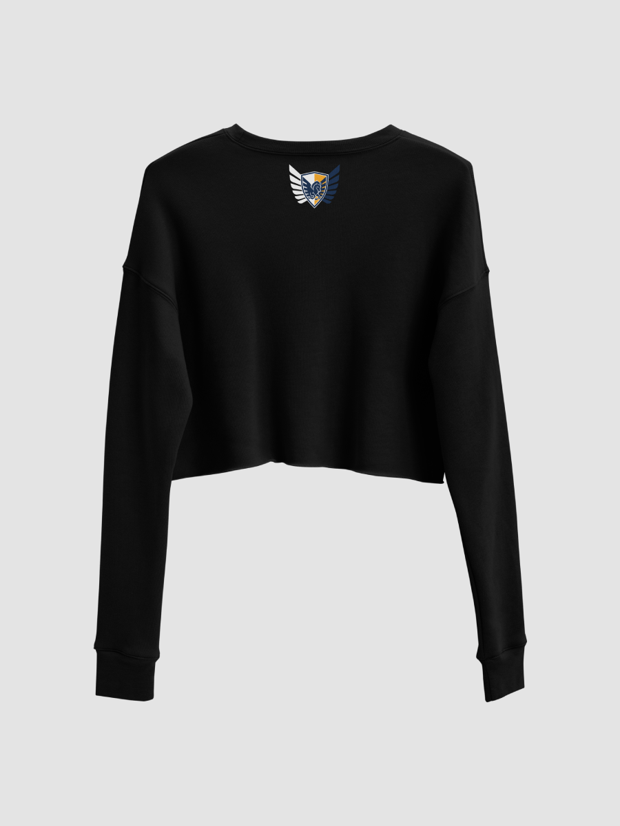 Nova Vitae Cropped Sweater product image (1)