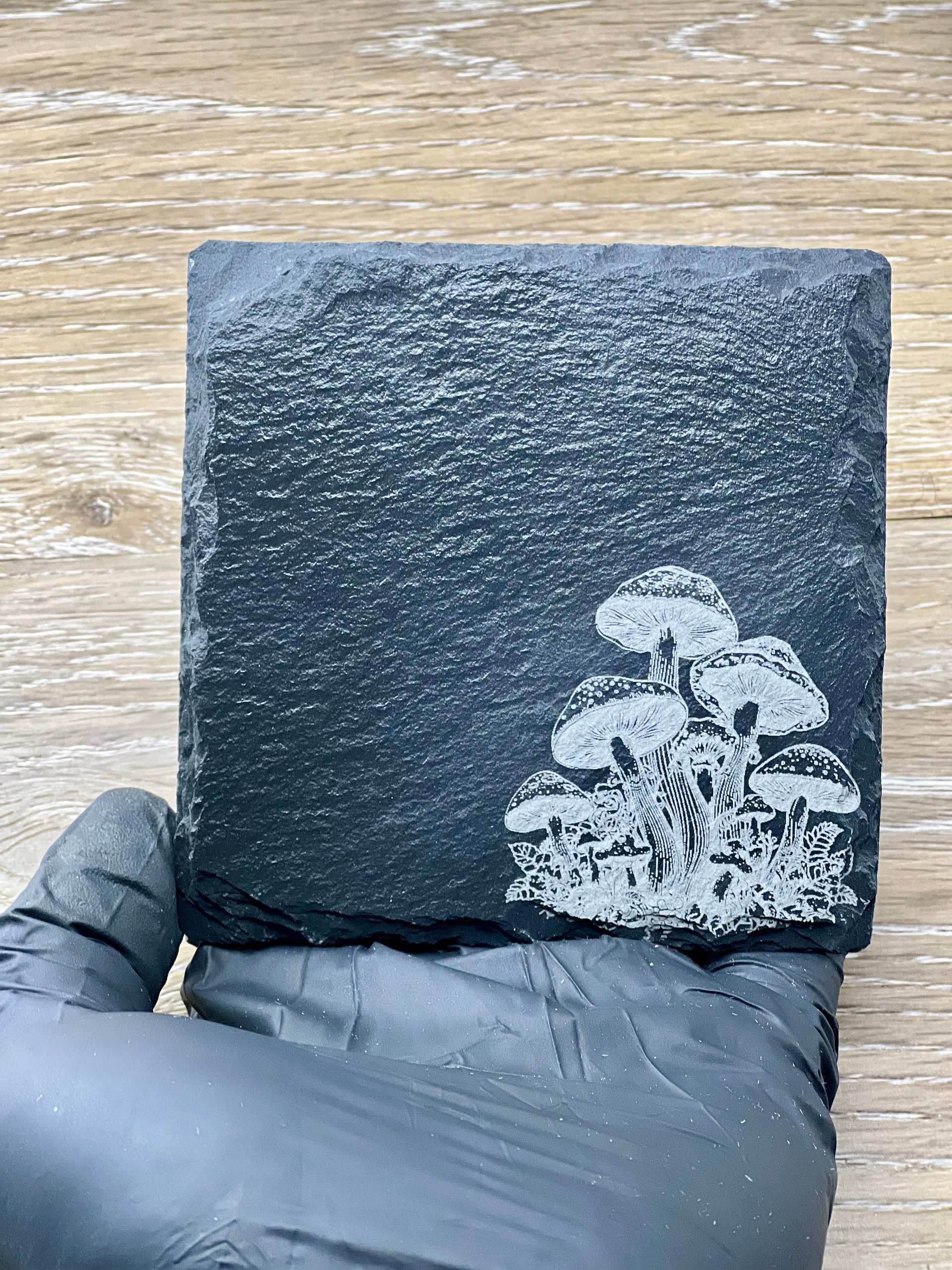 Mushroom Medley product image (5)