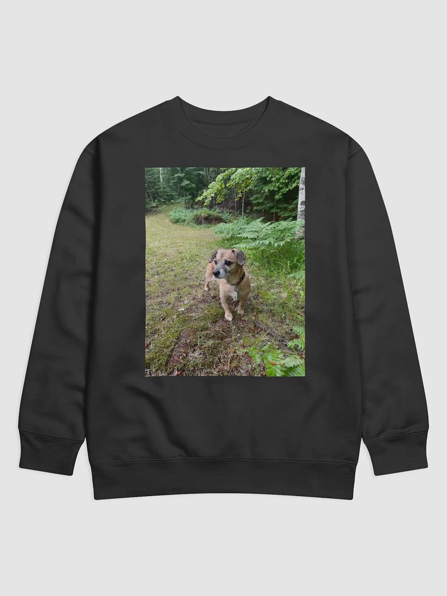 Rocky Sweatshirt product image (1)