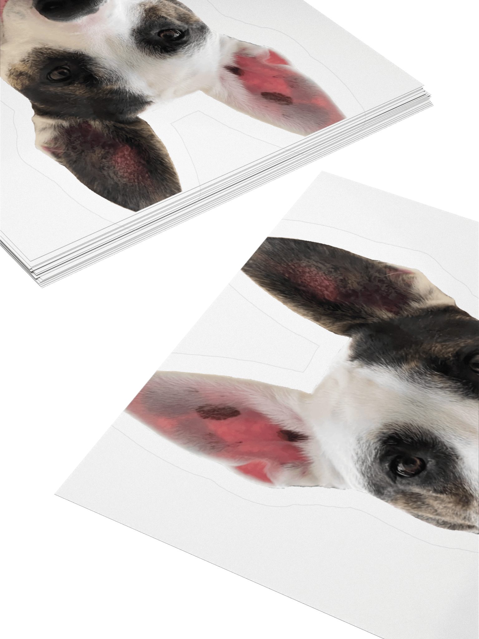 Sagey Sticker product image (10)