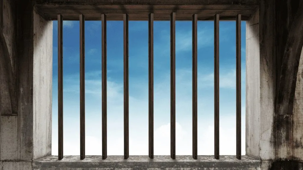 https://themes.fourthwall.com/themes/assets/6dbd9780-e7f7-4918-b632-2243590ede10/assets/image-1719129162-image-8f87d42ad15235806ce9715295dd0d5f22616cf55eef808f21dca5fd0e278aaf.jpg