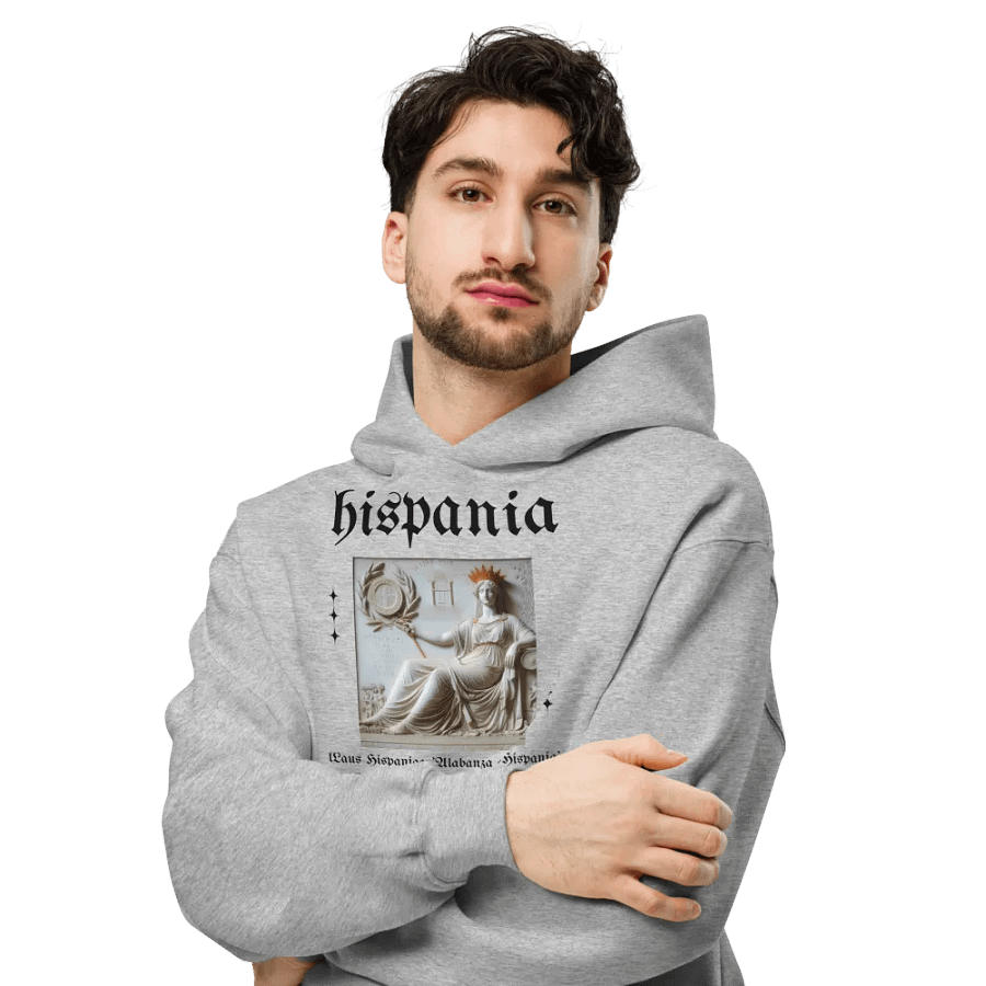 Sudadera con capucha gris - Laus Hispaniae product image (6)