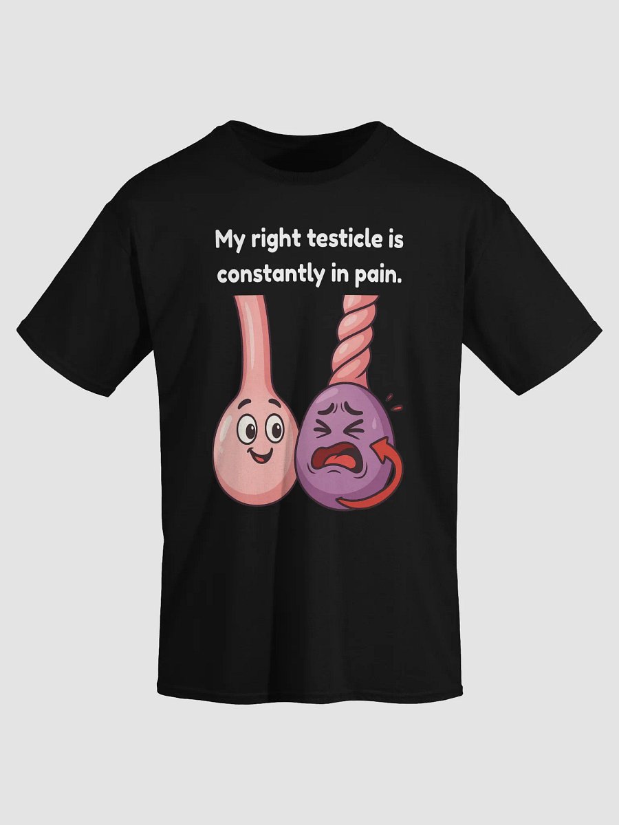 My right testicle is constantly in pain. Limited Edition Premium Tee-Shirt product image (3)