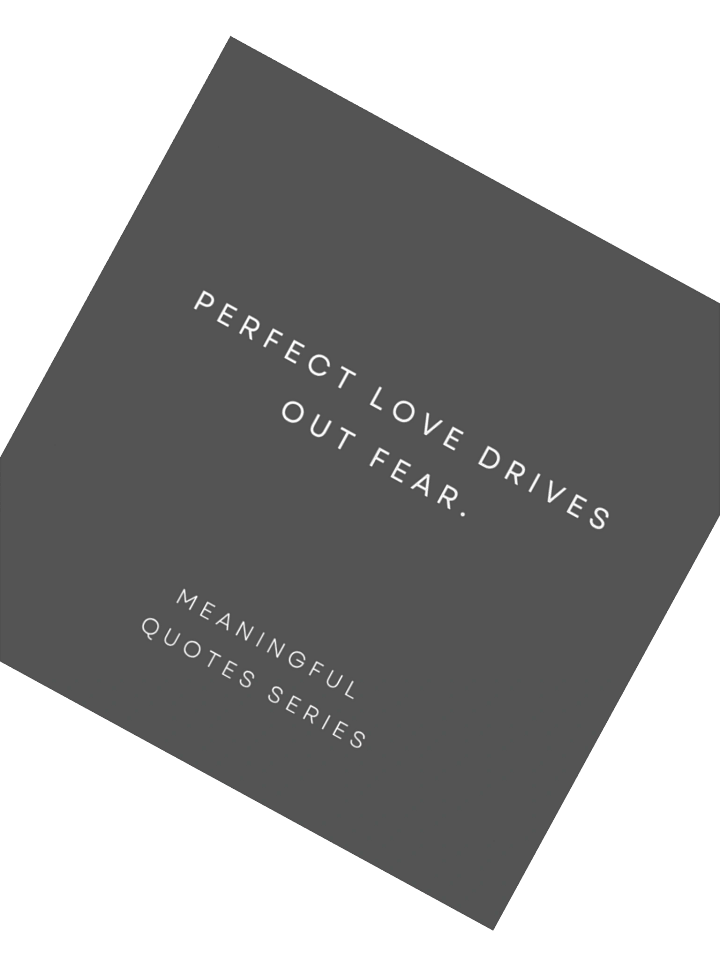 Perfect Love. product image (2)