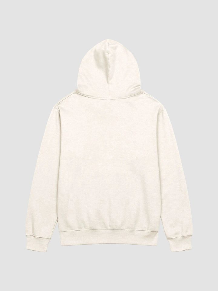 DESTINY Unisex Midweight Hoodie product image (2)