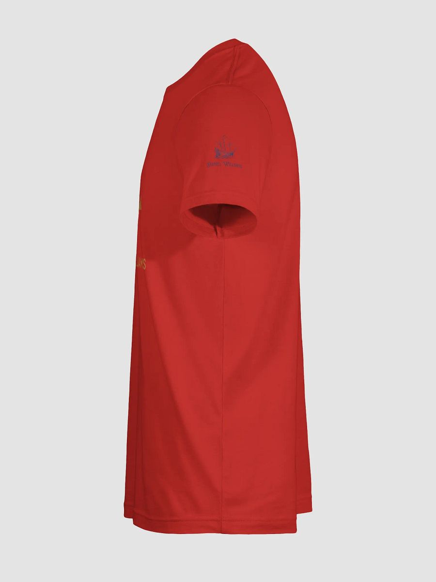 Oversized Daniel Williams T-shirt product image (9)