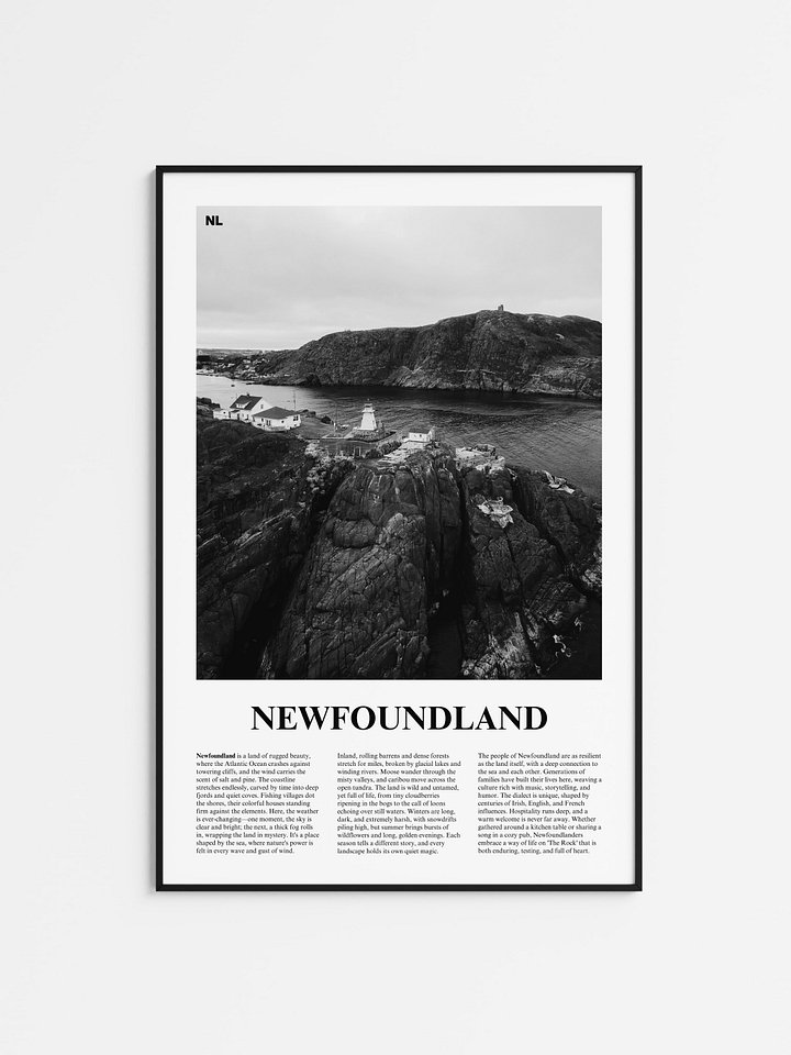 Newfoundland 01 Newspaper Poster product image (1)