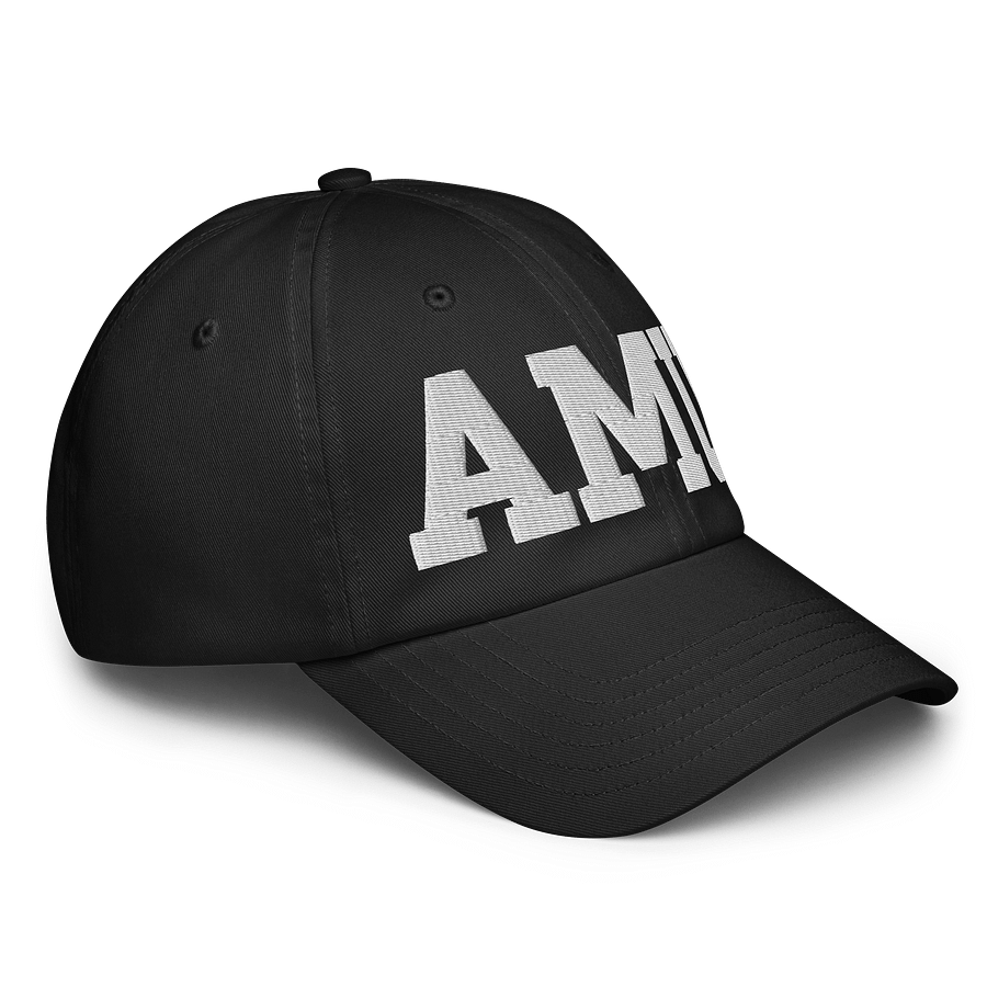 AMU Dad Hat by Under Armor product image (3)