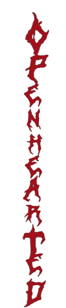 Long sleeve openhearted Juggalo product image (13)