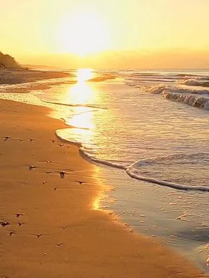 Getting your own signboard for business #graphicdesign #signboard 