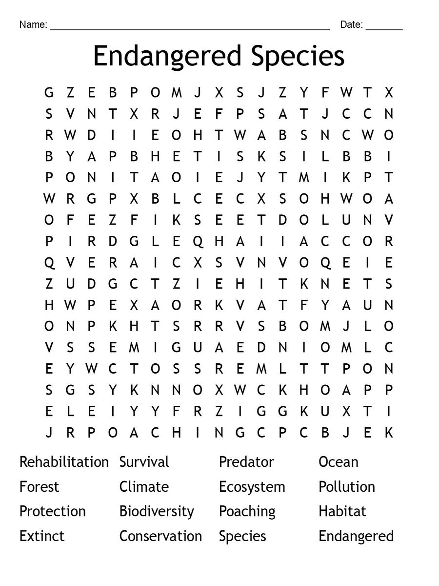 Printable Endangered Species Word Search – 16 Key Terms! product image (1)