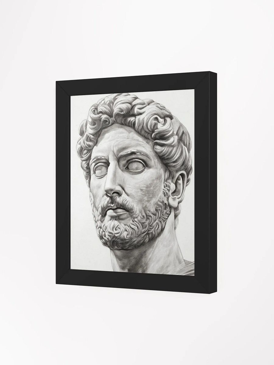 Cultural Vanguard: The Reflective Bust of Emperor Hadrian product image (3)