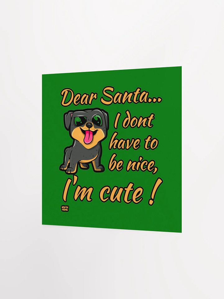 DEAR SANTA, I DON'T HAVE TO BE NICE, I'M CUTE! product image (6)