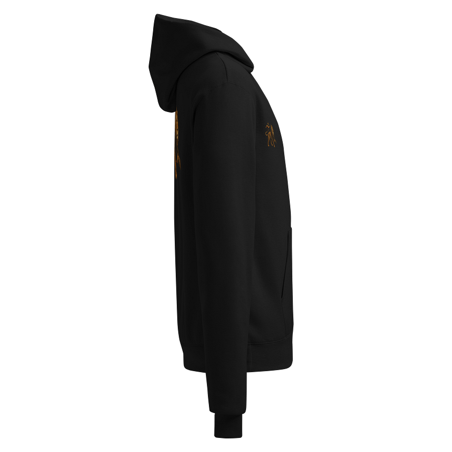 Lion Champion Hoodie product image (4)