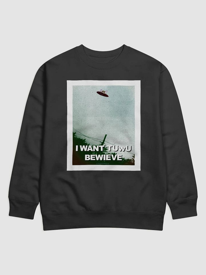 UwUspiracy Sweatshirt product image (1)