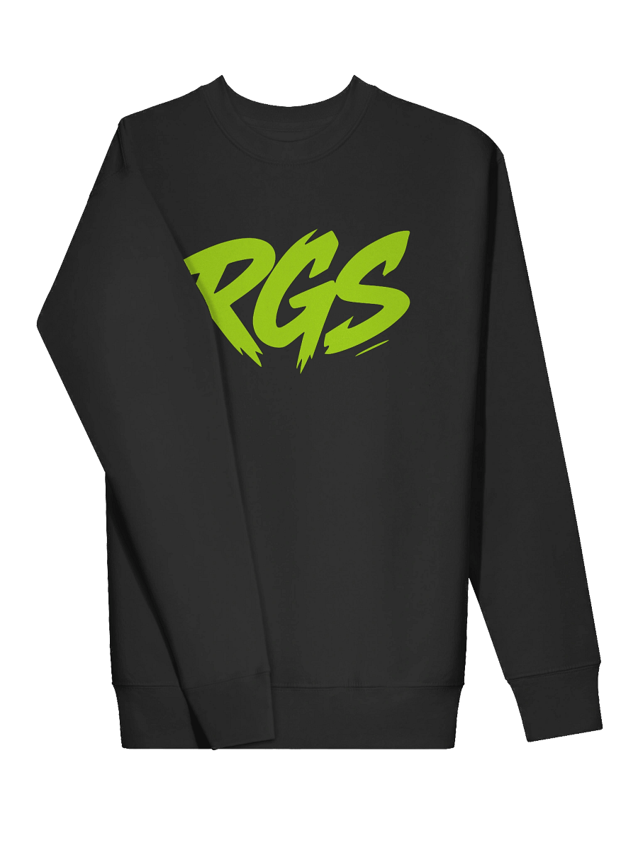 RGS Gamer Sweatshirt – Indie Spirit Pullover product image (3)