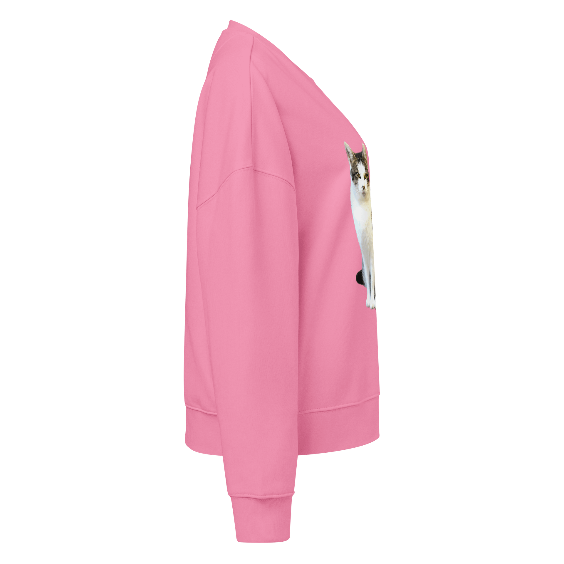 Tabby Dreams Organic Sweatshirt product image (4)