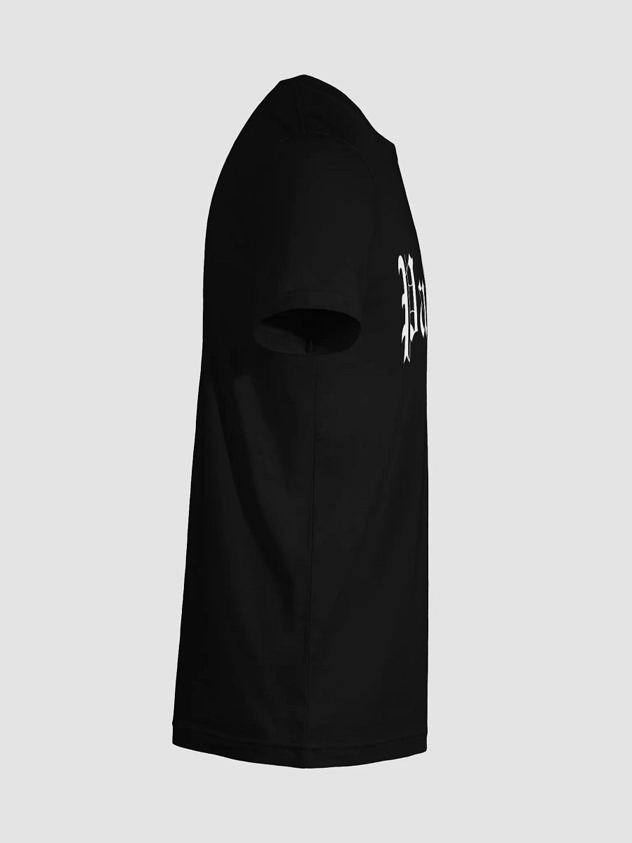 The Paladin product image (100)