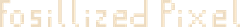 Fossilized Pixel